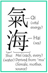 Qi Hai