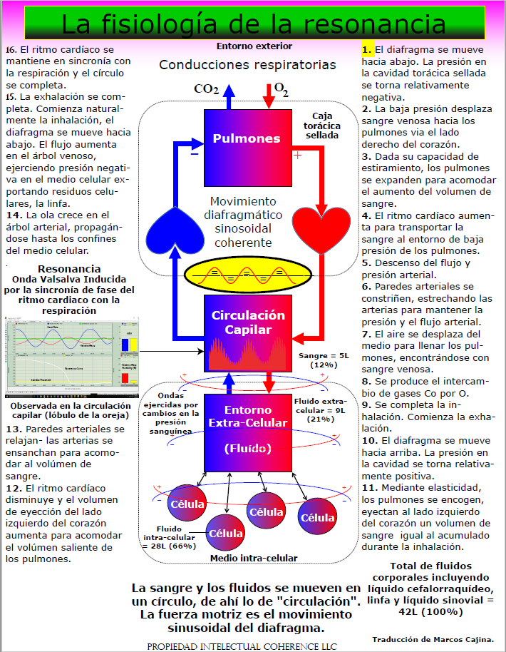 La_fisiologia_de_la_resonancia