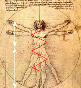The Human Body & Our Electrical Relationship With Planet Earth