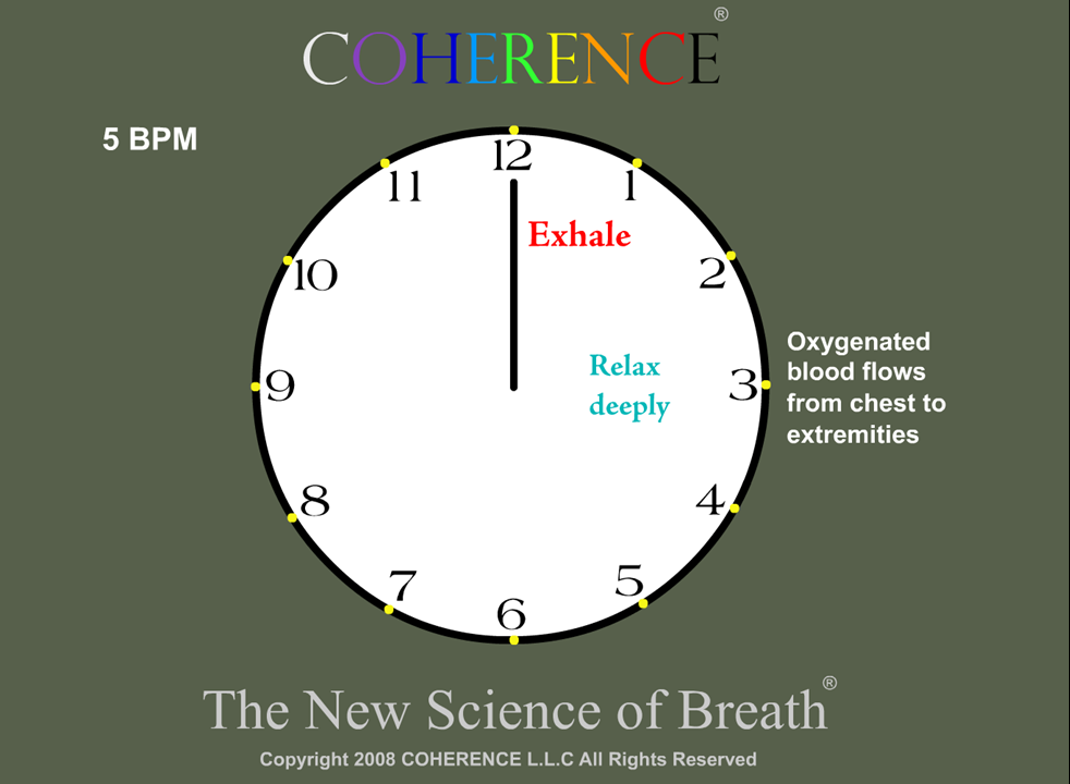 COHERENCE Clock Series