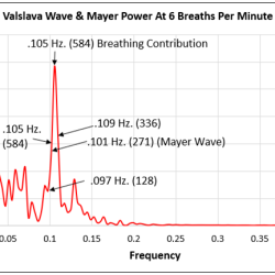 Coherent Breathing, Volume 2, Issue 9: A Comprehensive Exploration Of Resonance