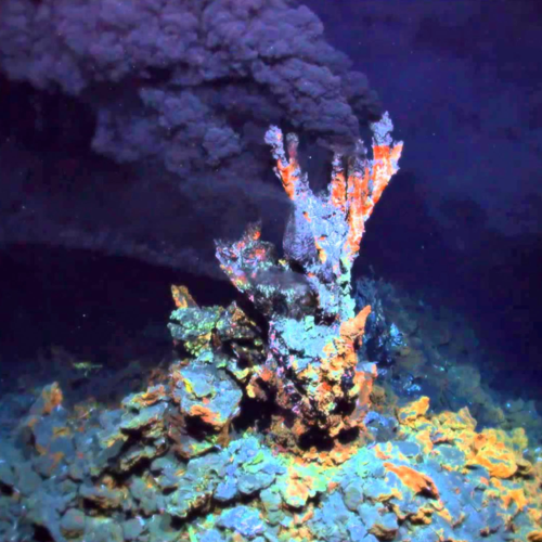 Hydrothermal Vent